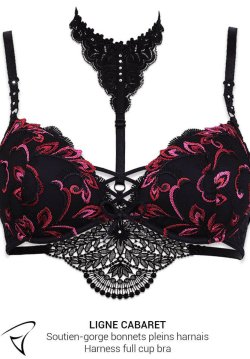 COLLIER HARNAIS